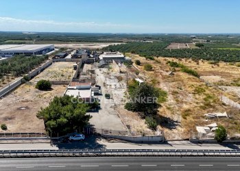 Foto 18 - Agricultural land Contrada Monachelle
SN, Andria - photo 18