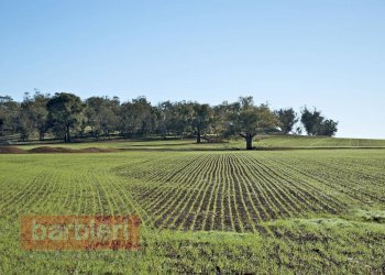 Foto 1 - Agricultural land Via Del Cane, Cesena - photo 1