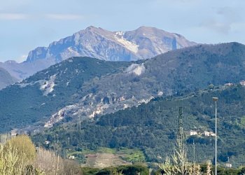 Foto 4 - Villa Pietrasanta - foto 4