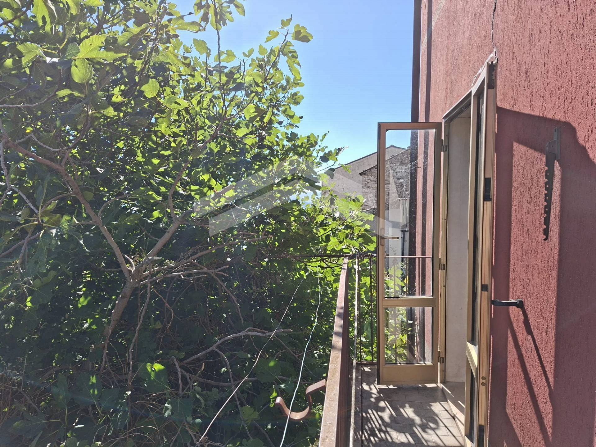 Foto 3 - Stabile - Palazzo via XXIV
 
SNC, Castelbottaccio - foto 3