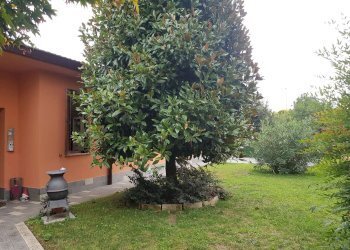 esterno - Villa via Primo Maggio, Spino d'Adda - foto 44