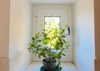 Dettagli - Quadrilocale via Daniele Manin, 17, Sori - foto 17