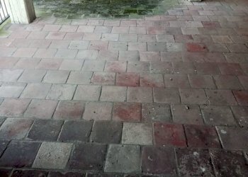 Villa Murisengo - foto 8