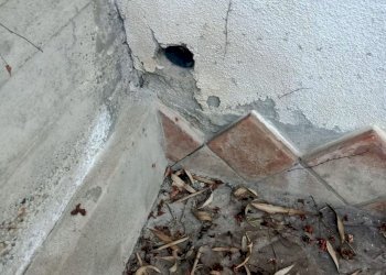 Villa Murisengo - foto 23