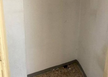 Quadrilocale Pinerolo - foto 12