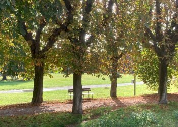 Quadrilocale Pinerolo - foto 7