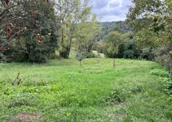 Rustico Cocconato - foto 32