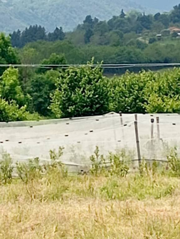 Terreno agricolo Pinerolo - foto 2