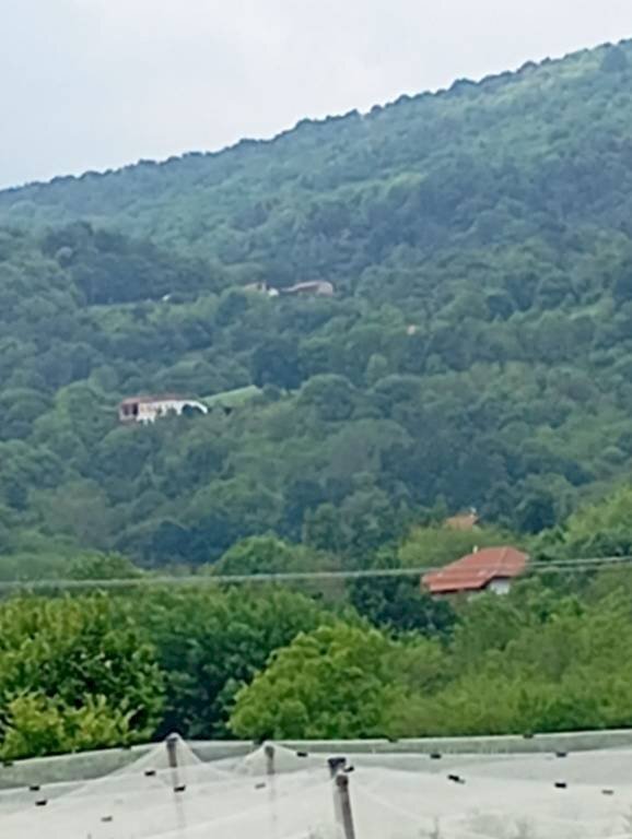 Terreno agricolo Pinerolo - foto 3