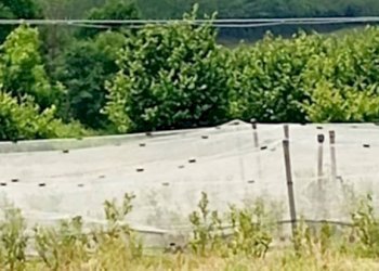 Terreno agricolo Pinerolo - foto 2