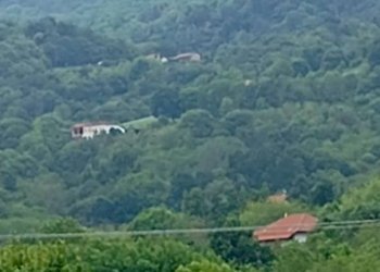 Terreno agricolo Pinerolo - foto 3