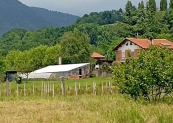 Terreno agricolo Pinerolo - foto 15