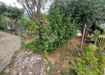 Apartment Via Terrazzi, Castellaro - photo 15