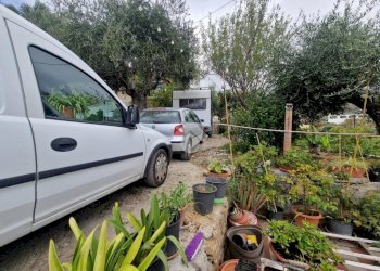 Apartment Via Terrazzi, Castellaro - photo 16