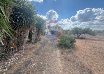 Non correlato - Casa indipendente contrada poggio ianche, Caltagirone - foto 8
