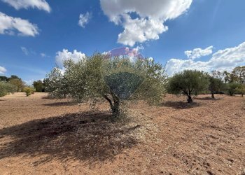 Giardino - Casa indipendente contrada poggio ianche, Caltagirone - foto 9
