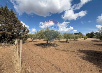 Giardino - Casa indipendente contrada poggio ianche, Caltagirone - foto 10