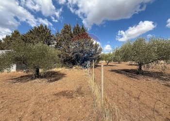 Giardino - Casa indipendente contrada poggio ianche, Caltagirone - foto 11