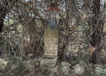 Giardino - Casa indipendente contrada poggio ianche, Caltagirone - foto 13