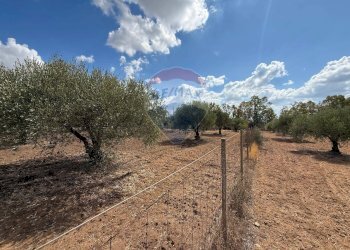 Giardino - Casa indipendente contrada poggio ianche, Caltagirone - foto 16