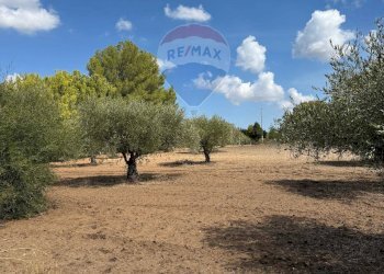 Giardino - Casa indipendente contrada poggio ianche, Caltagirone - foto 34