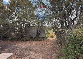 Giardino - Casa indipendente contrada poggio ianche, Caltagirone - foto 37