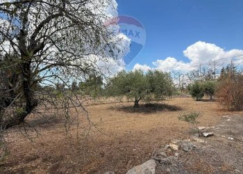 Non correlato - Casa indipendente contrada poggio ianche, Caltagirone - foto 38