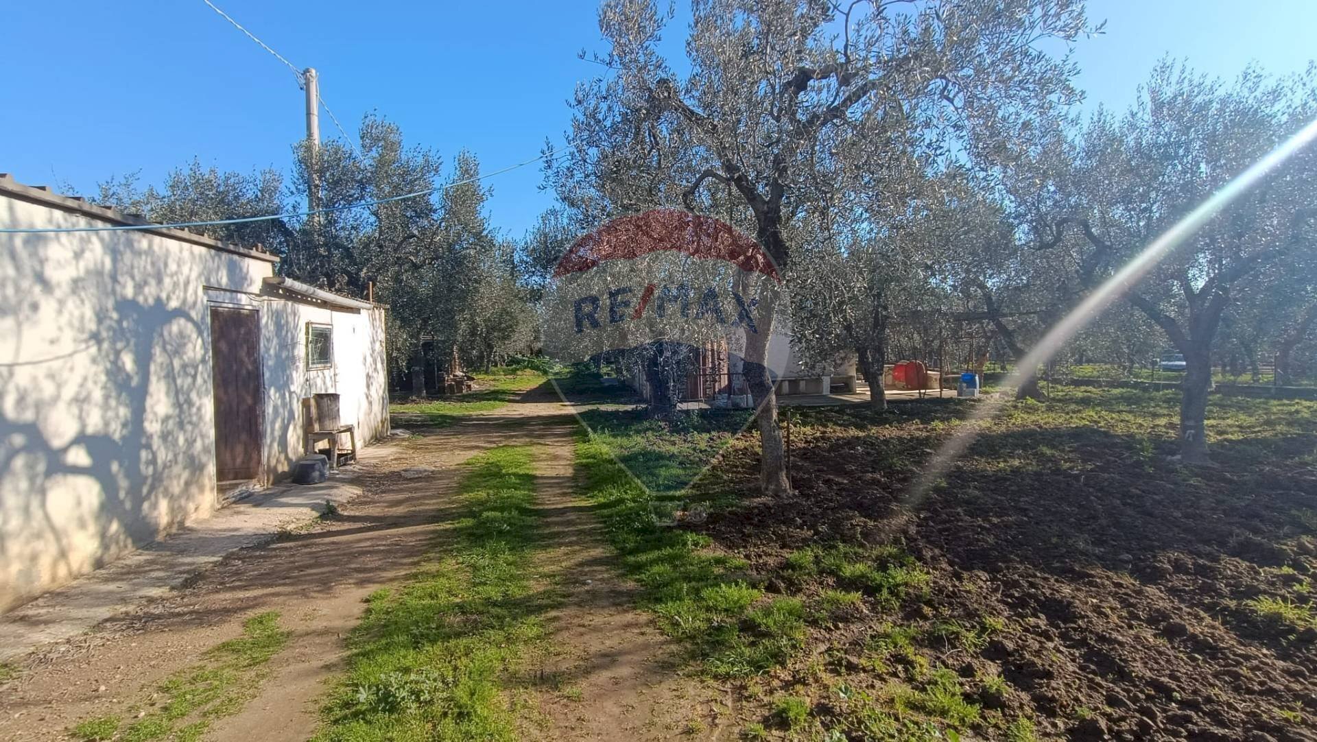 Giardino - Casa indipendente Contrada Varcaro
 
snc, Monte Sant'Angelo - foto 1