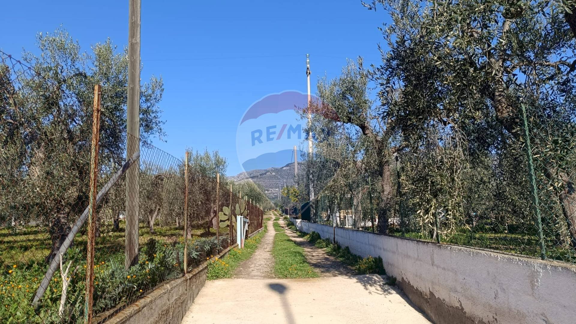 Giardino - Casa indipendente Contrada Varcaro
 
snc, Monte Sant'Angelo - foto 3