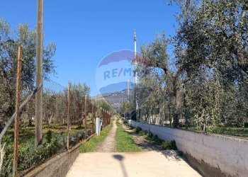 Giardino - Casa indipendente Contrada Varcaro
 
snc, Monte Sant'Angelo - foto 3