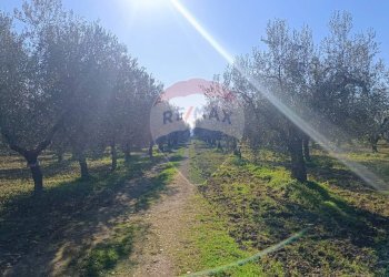 Non correlato - Casa indipendente Contrada Varcaro
 
snc, Monte Sant'Angelo - foto 4