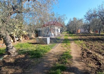 Giardino - Casa indipendente Contrada Varcaro
 
snc, Monte Sant'Angelo - foto 5
