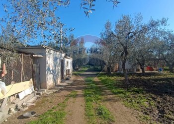 Giardino - Casa indipendente Contrada Varcaro
 
snc, Monte Sant'Angelo - foto 6