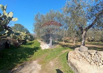 Giardino - Casa indipendente Contrada Varcaro
 
snc, Monte Sant'Angelo - foto 9