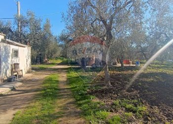 Giardino - Casa indipendente Contrada Varcaro
 
snc, Monte Sant'Angelo - foto 12