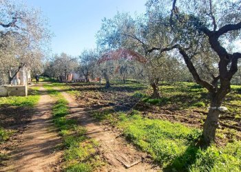 Giardino - Casa indipendente Contrada Varcaro
 
snc, Monte Sant'Angelo - foto 14