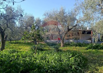 Giardino - Casa indipendente Contrada Varcaro
 
snc, Monte Sant'Angelo - foto 20