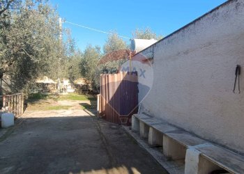 Giardino - Casa indipendente Contrada Varcaro
 
snc, Monte Sant'Angelo - foto 21