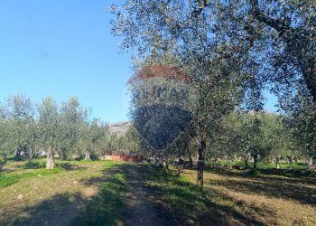 Giardino - Casa indipendente Contrada Varcaro
 
snc, Monte Sant'Angelo - foto 28