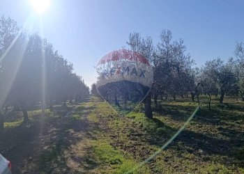 Non correlato - Casa indipendente Contrada Varcaro
 
snc, Monte Sant'Angelo - foto 29
