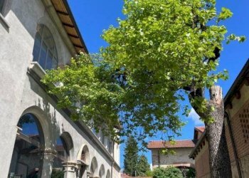 Facciata - Rustic via Torre Acceglio, 137, hamlet Madonna Delle Grazie, Cuneo - photo 7