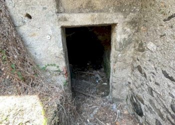 Cantina - Rustic via Duccio Galimberti, 12, Pradleves - photo 11