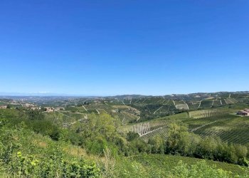 Vista - Rustico Località Sant'Anna, Monforte d'Alba - foto 5