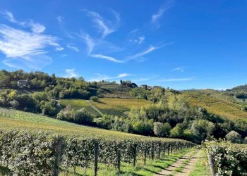 Vista - Rustico Località Sant'Anna, Monforte d'Alba - foto 6