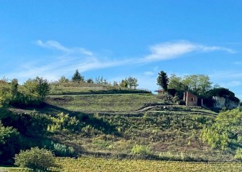 Vista - Rustico Località Sant'Anna, Monforte d'Alba - foto 7