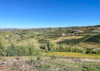 Vista - Rustico Località Sant'Anna, Monforte d'Alba - foto 8