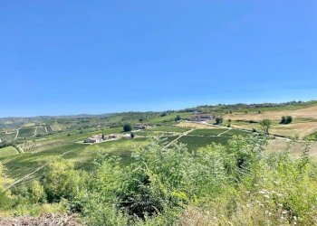 Vista - Rustico Località Sant'Anna, Monforte d'Alba - foto 9