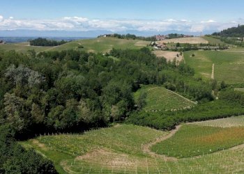 Vista - Rustico Località Sant'Anna, Monforte d'Alba - foto 12