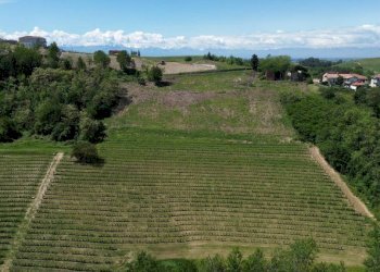 Terreno - Rustico Località Sant'Anna, Monforte d'Alba - foto 13