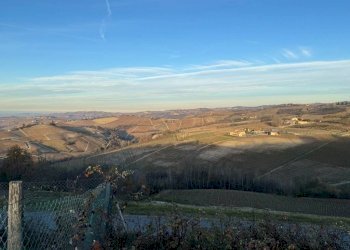 Vista - Rustico Località Sant'Anna, Monforte d'Alba - foto 17